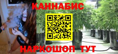 ешки Абакан