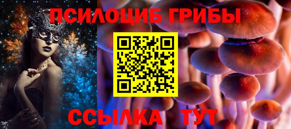 Псилоцибиновые грибы прущие грибы Ангарск