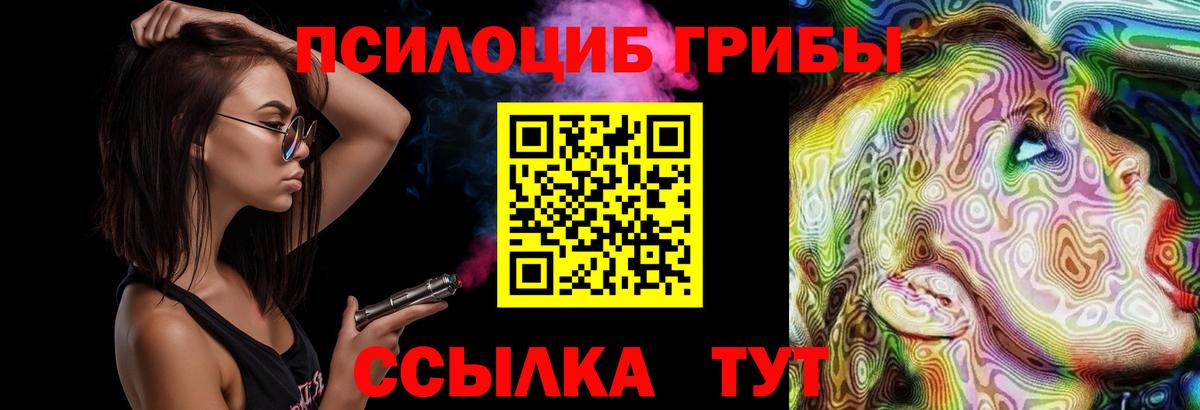 Галлюциногенные грибы Psilocybine cubensis  Галлюциногенные грибы прущие грибы  Вход с VPN  Ангарск 